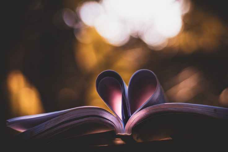 heart book art on bokeh photography